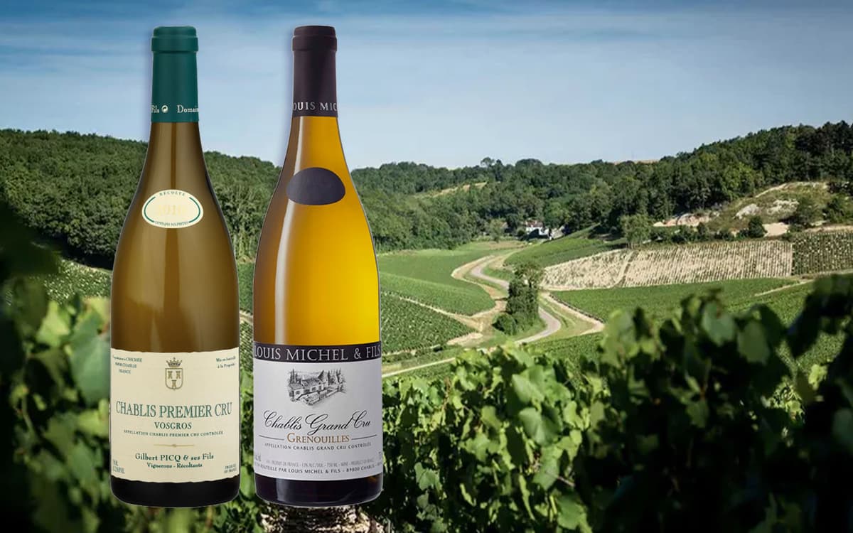 Degustace Chablis 1er & Grand Cru