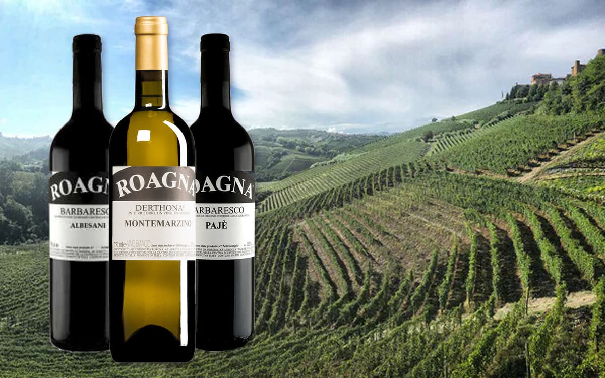 Roagna Wine tasting