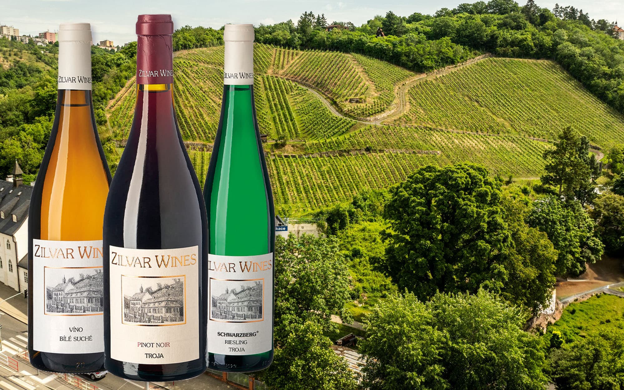Zilvar wine tasting