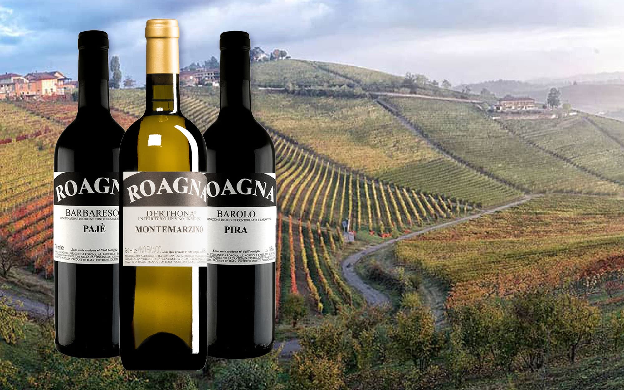 Roagna wine tasting 2025