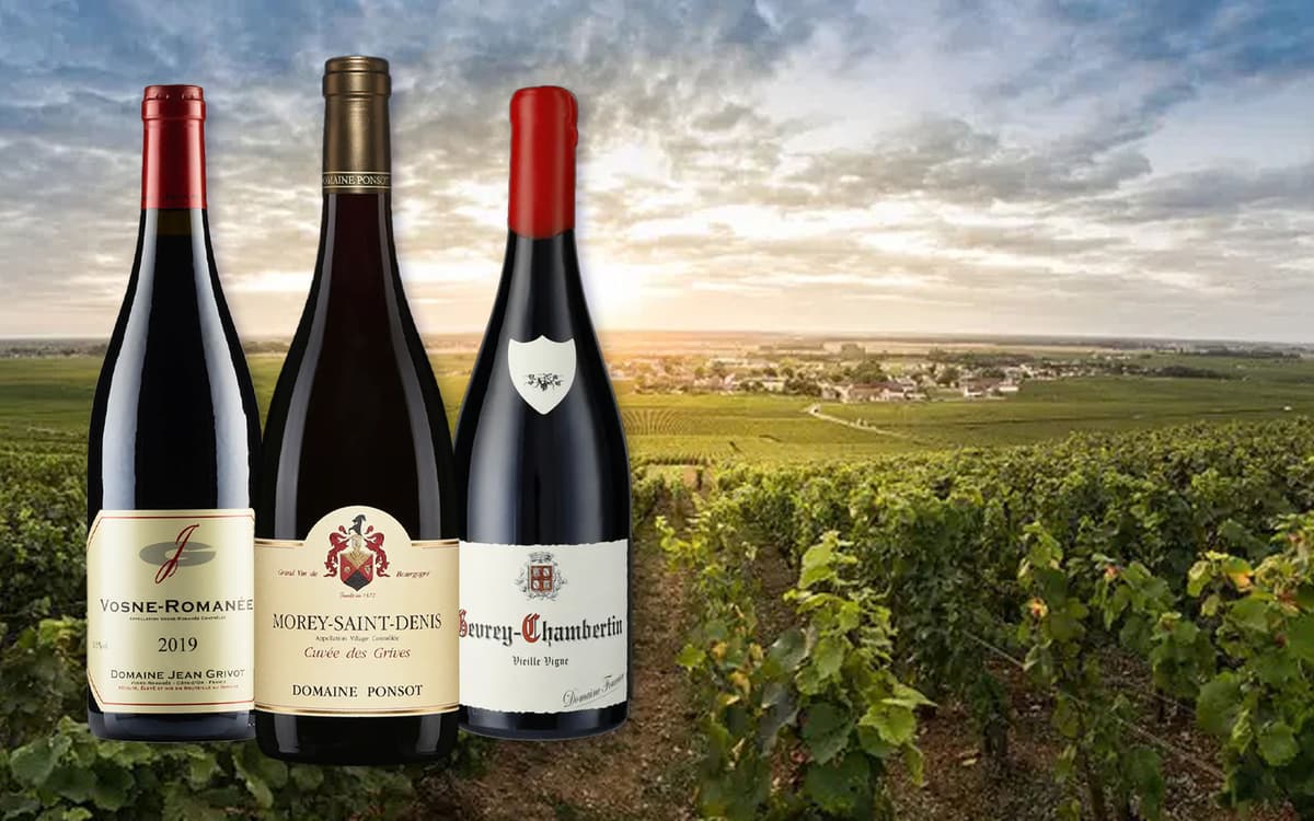 Degustace červené Burgundsko