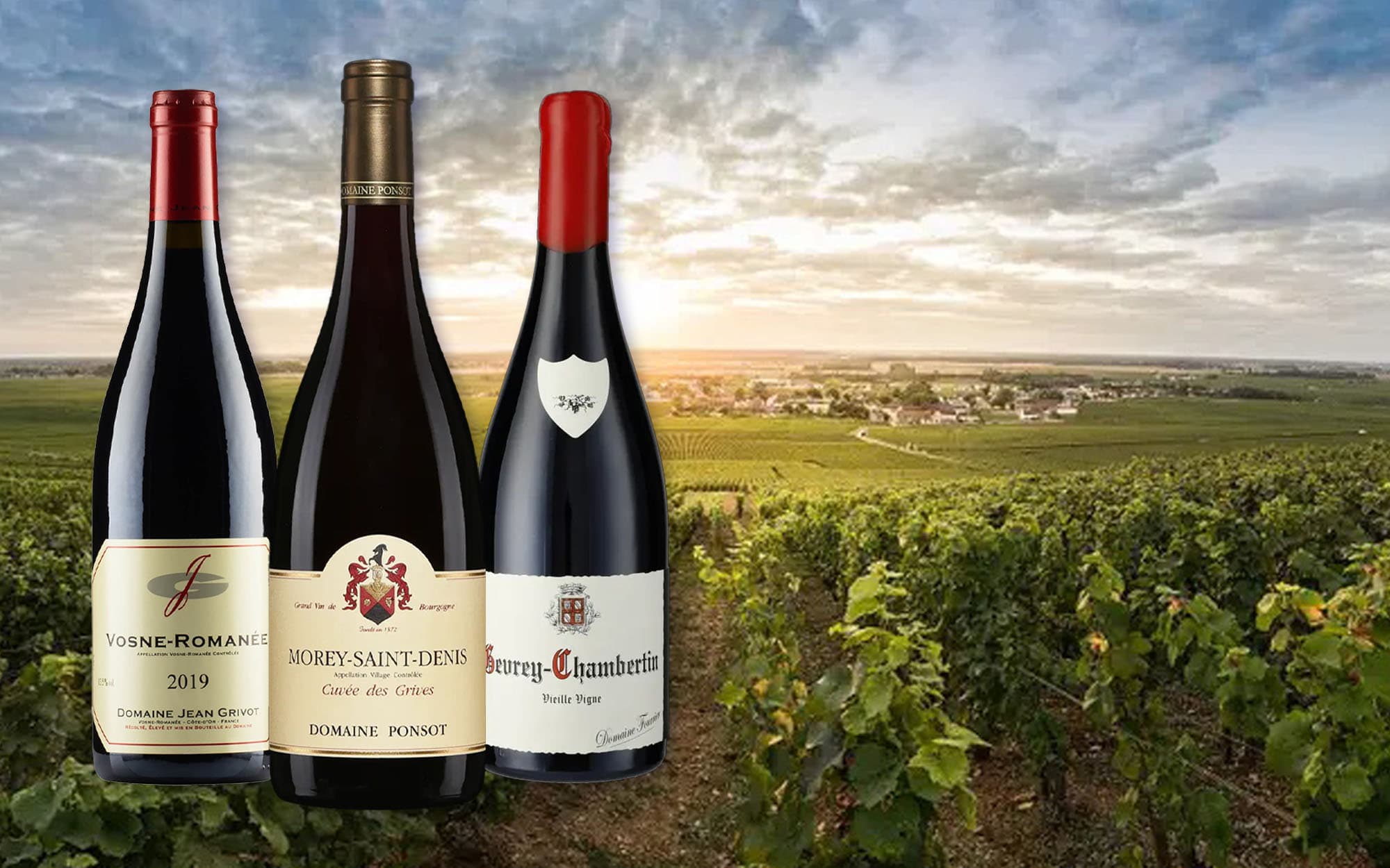 Degustace červené Burgundsko