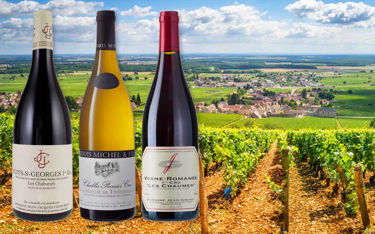 Burgundy Village & 1er Cru wine tasting 