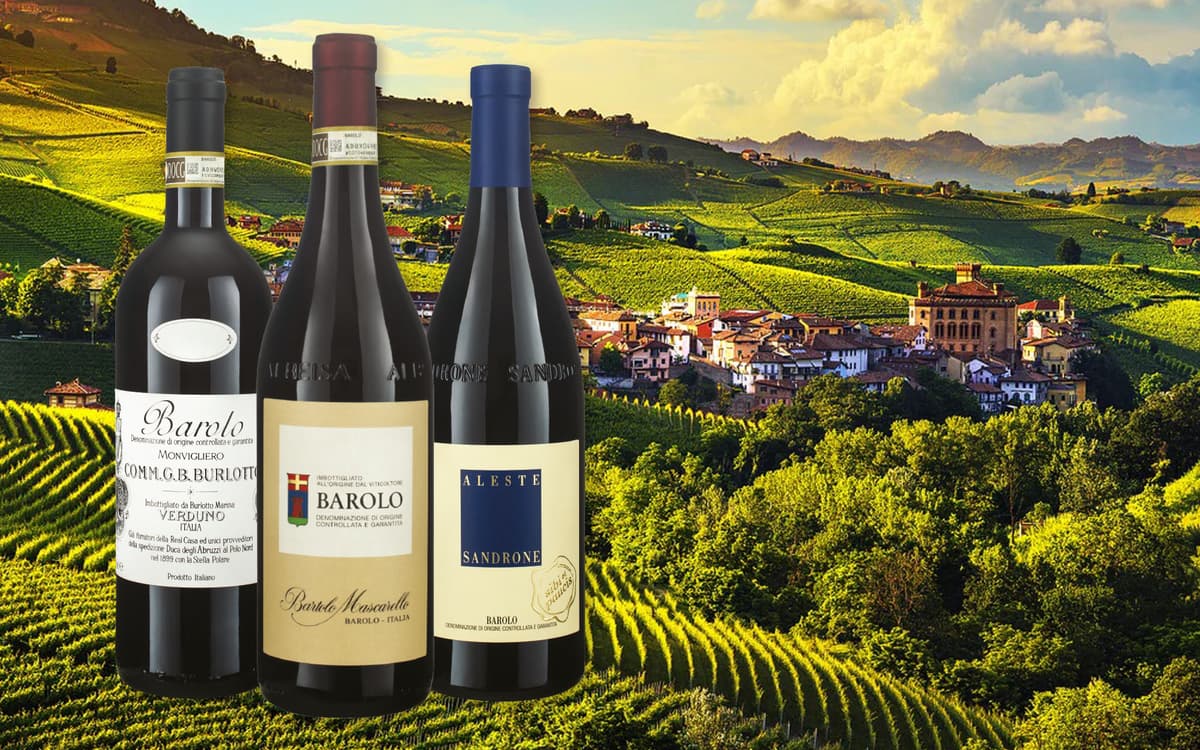 Barolo new vintage tasting