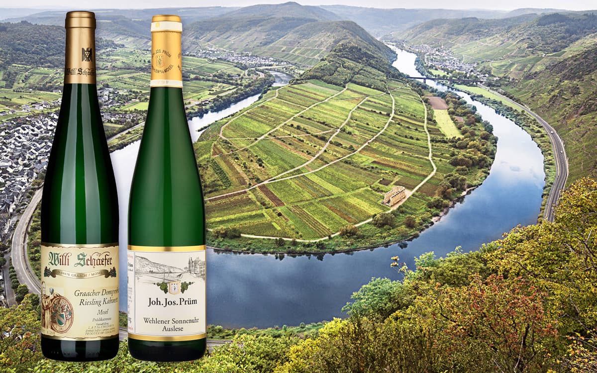 Degustace starších ročníků Riesling