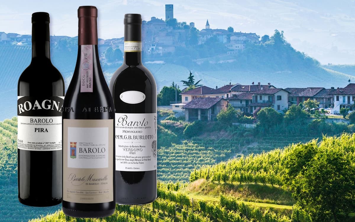 Barolo Piedmont wine tasting