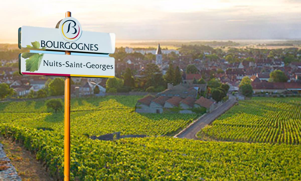 Degustace Nuits-Saint-Georges